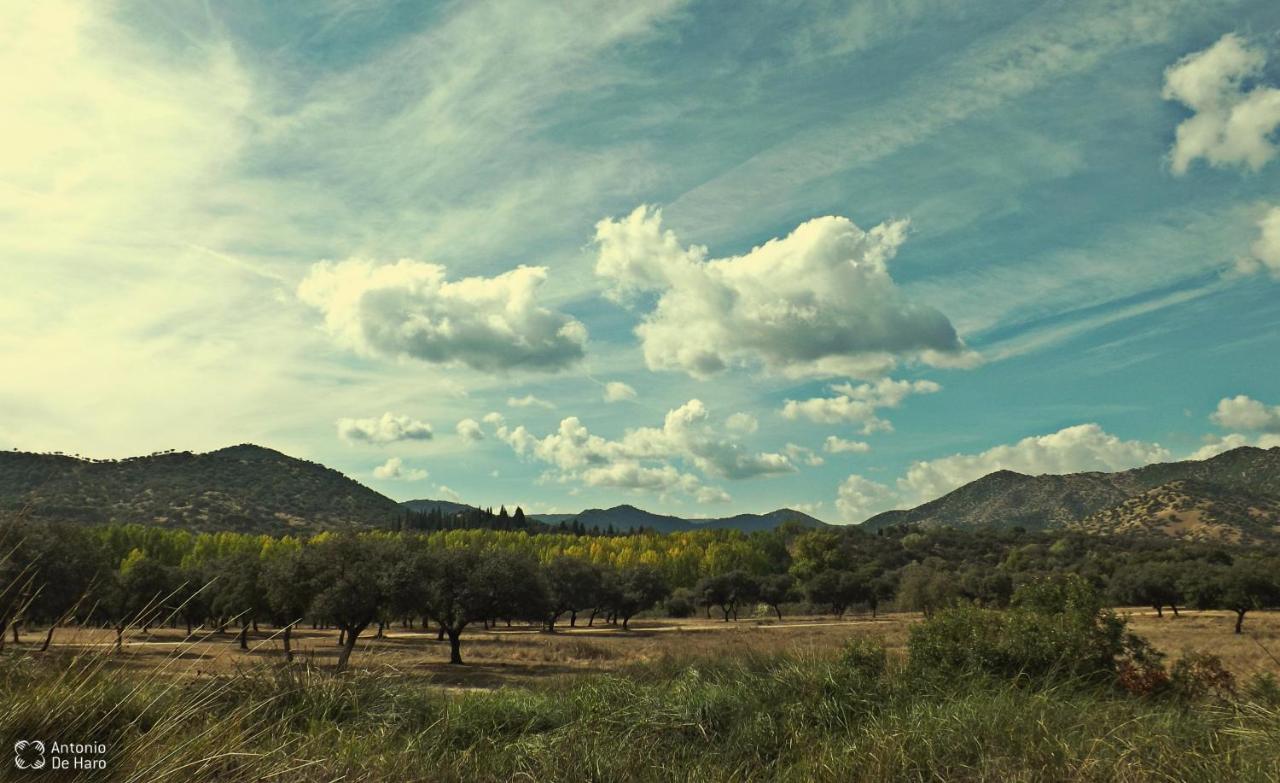 Vina Concepcion Βίλα Andújar Εξωτερικό φωτογραφία