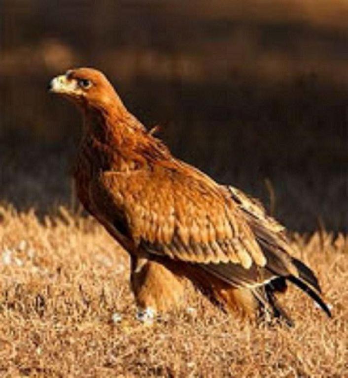 Vina Concepcion Βίλα Andújar Εξωτερικό φωτογραφία